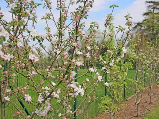 Au Pre Carre Ξενοδοχείο Plumergat Εξωτερικό φωτογραφία